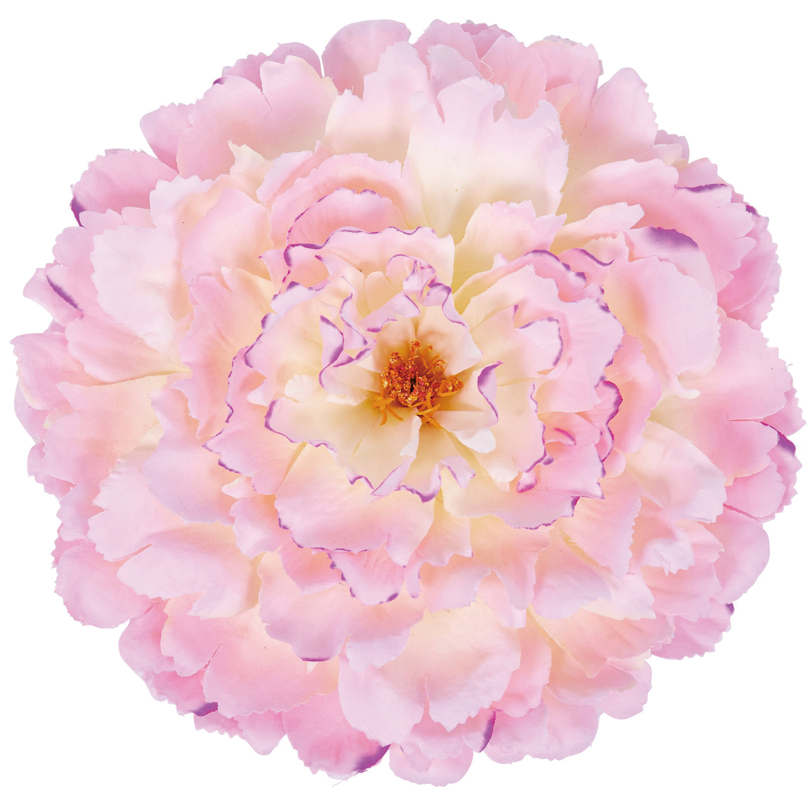�y�l��z���s�z�ެ����ߵư (CR/PI)